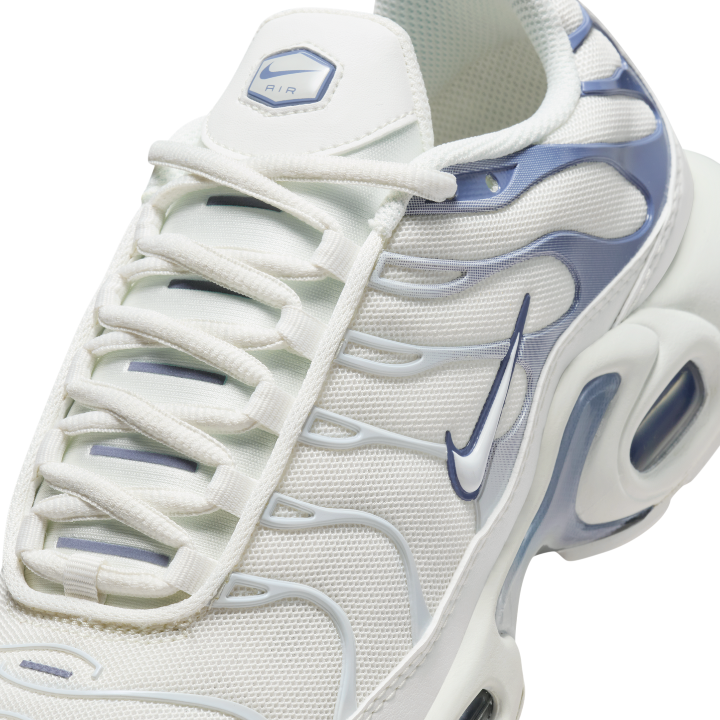 Nike Air Max Plus Ashen Slate (Women's)