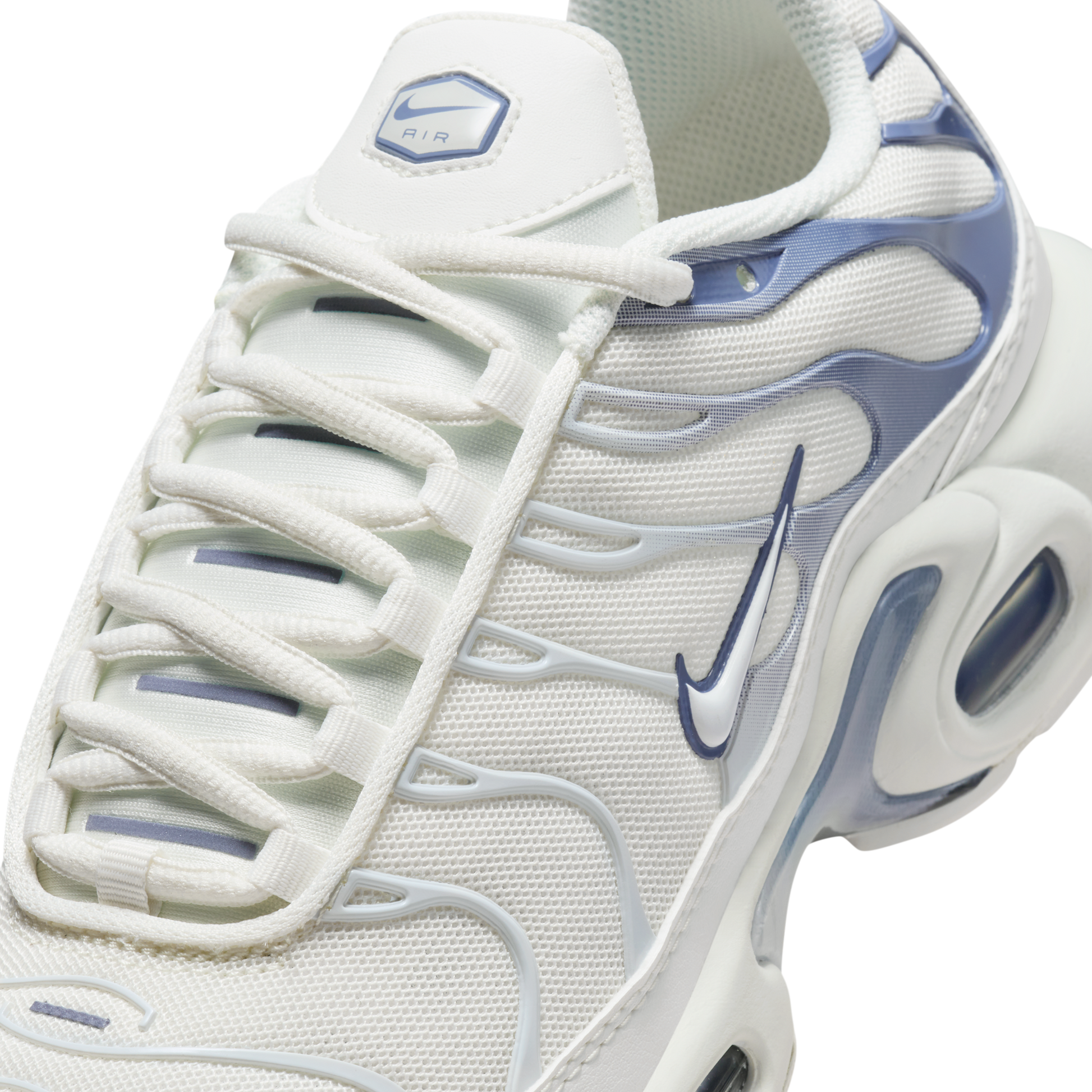 Nike Air Max Plus Ashen Slate (Women's)