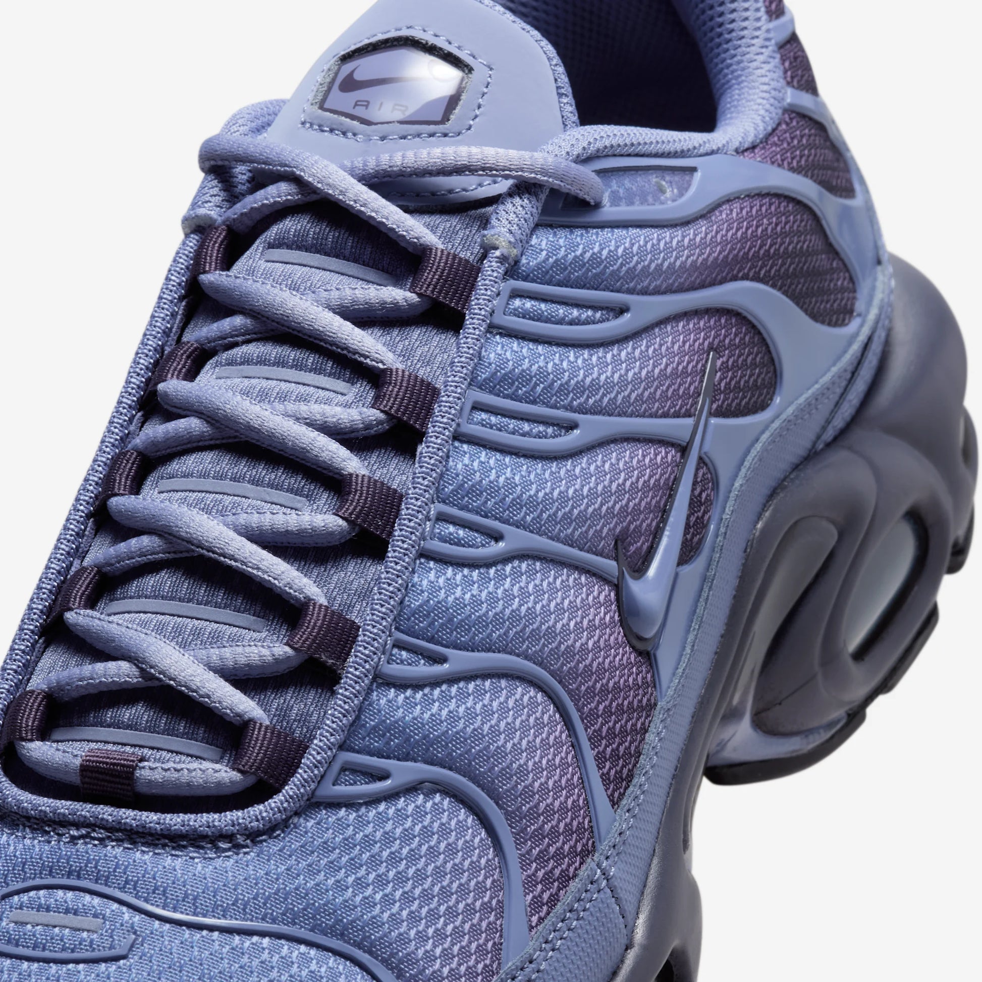 Nike Air Max Plus World Indigo