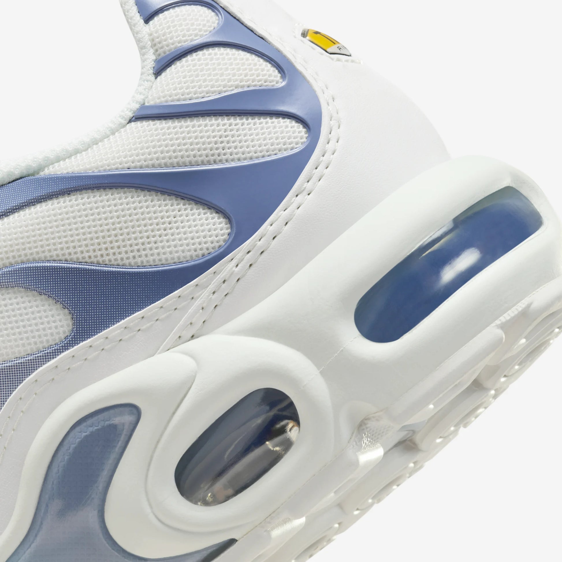 Nike Air Max Plus Ashen Slate (Women's)