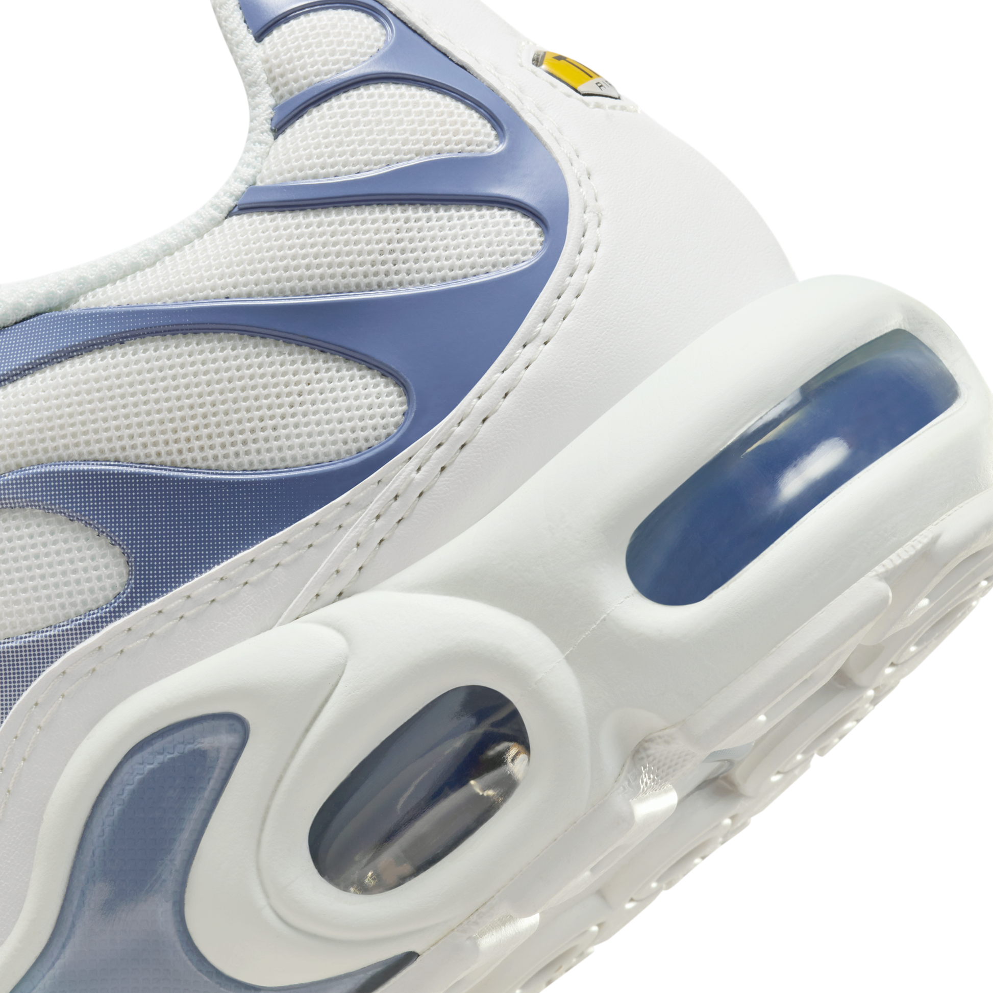 Nike Air Max Plus Ashen Slate (Women's)
