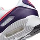 Nike Air Max 90 Eggplant (Women's)