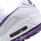 Nike Air Max 90 Color Pack Court Purple