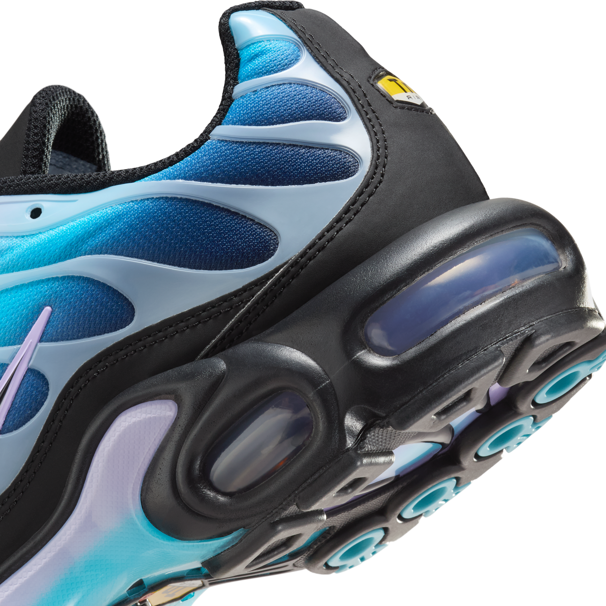 Nike Air Max Plus Black Hydrangeas (Women's)