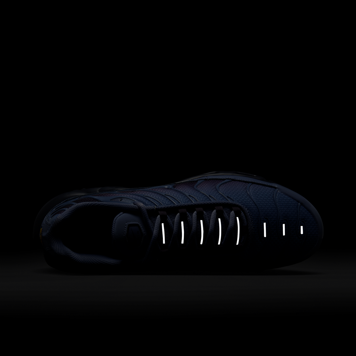 Nike Air Max Plus World Indigo