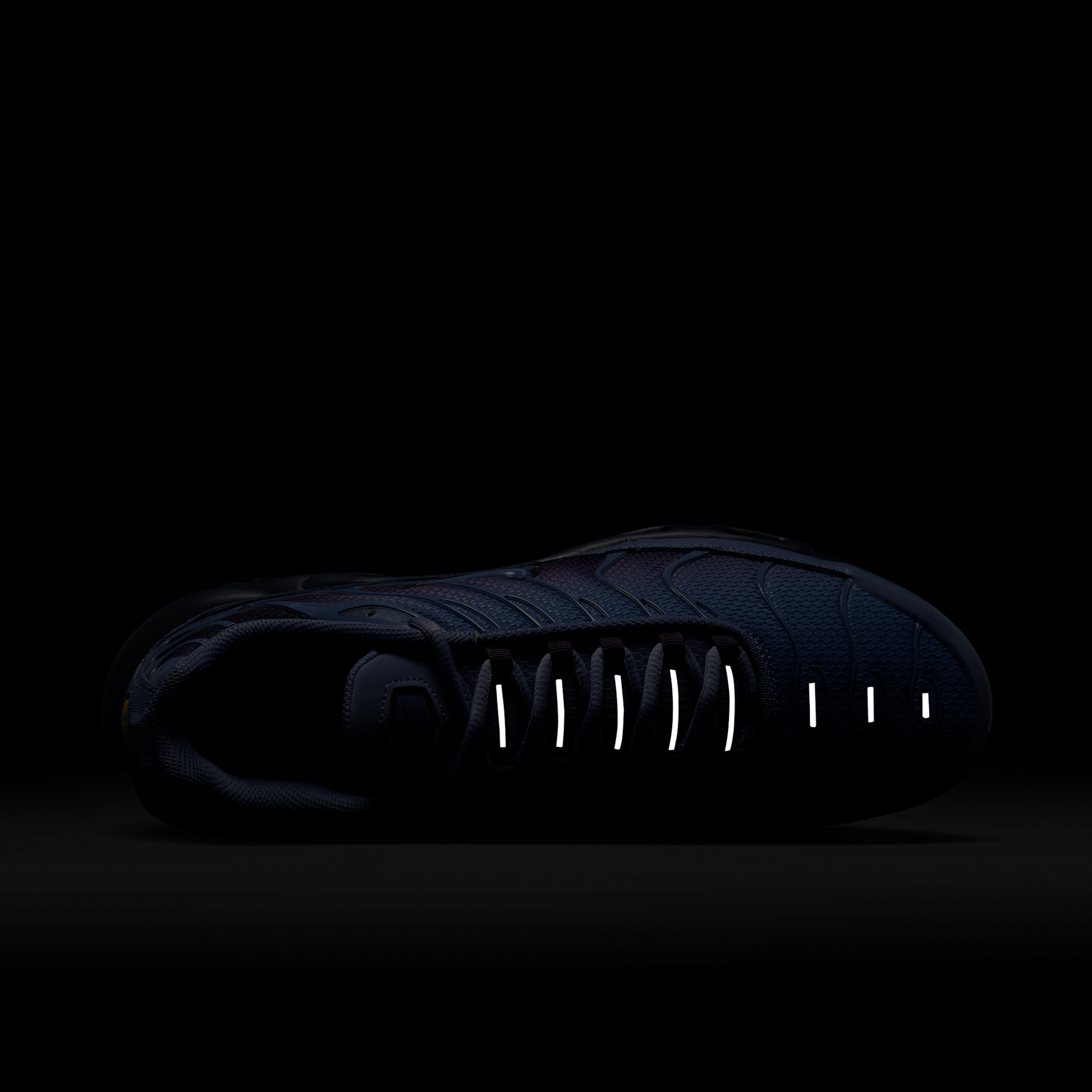 Nike Air Max Plus World Indigo