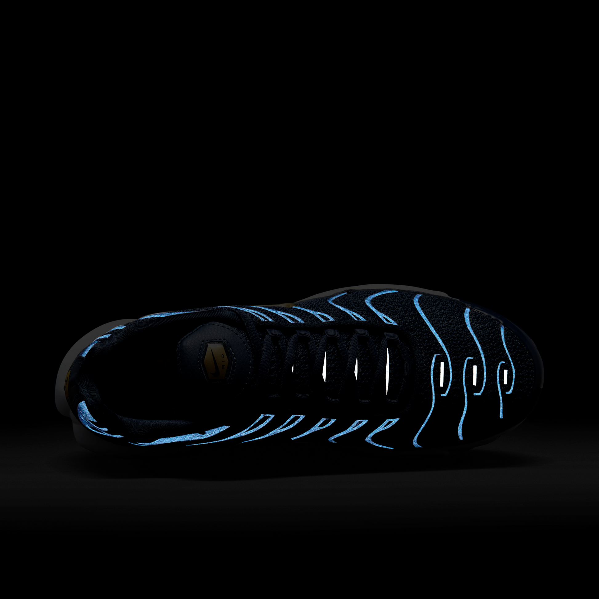 Nike Air Max Plus FFF