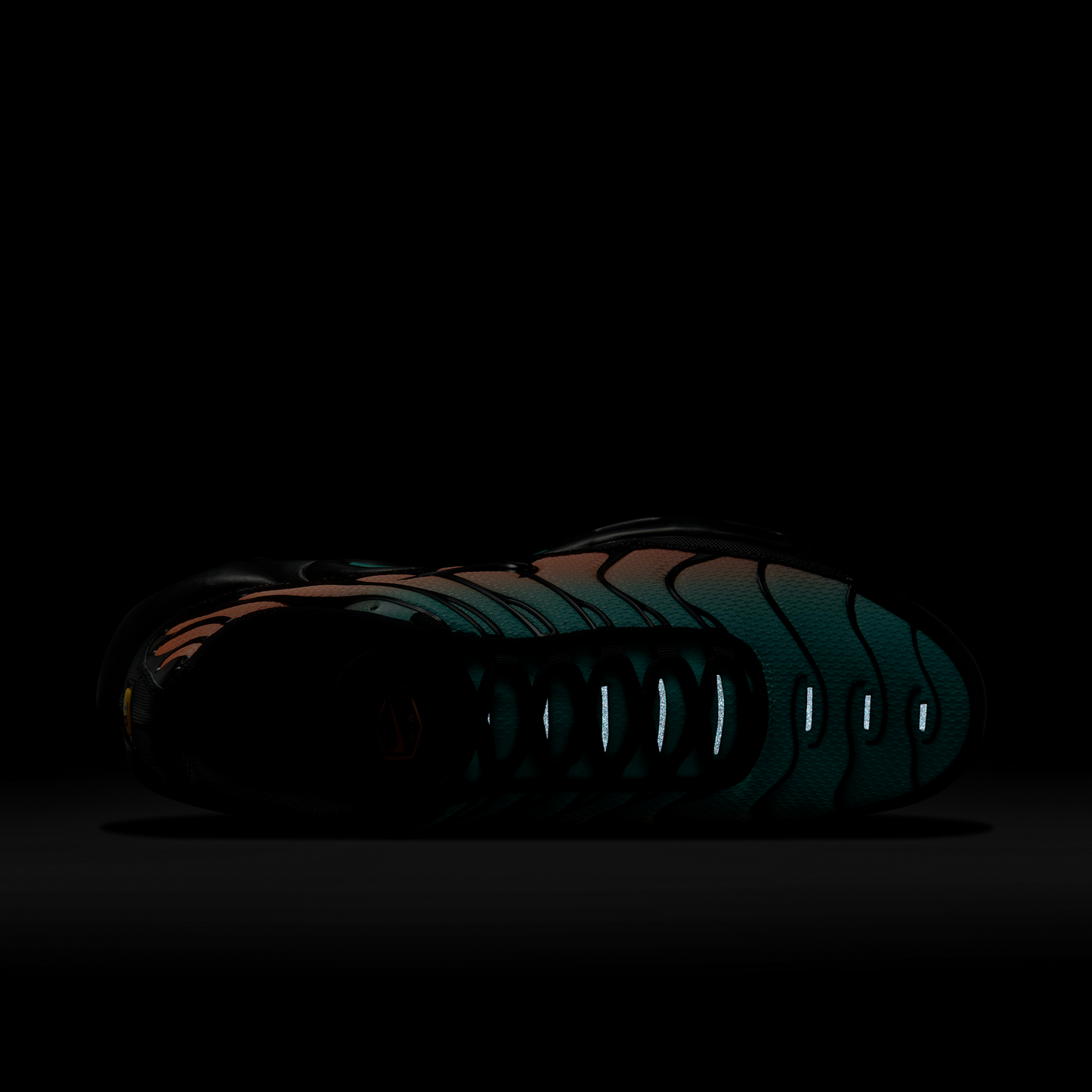 Nike Air Max Plus South Beach