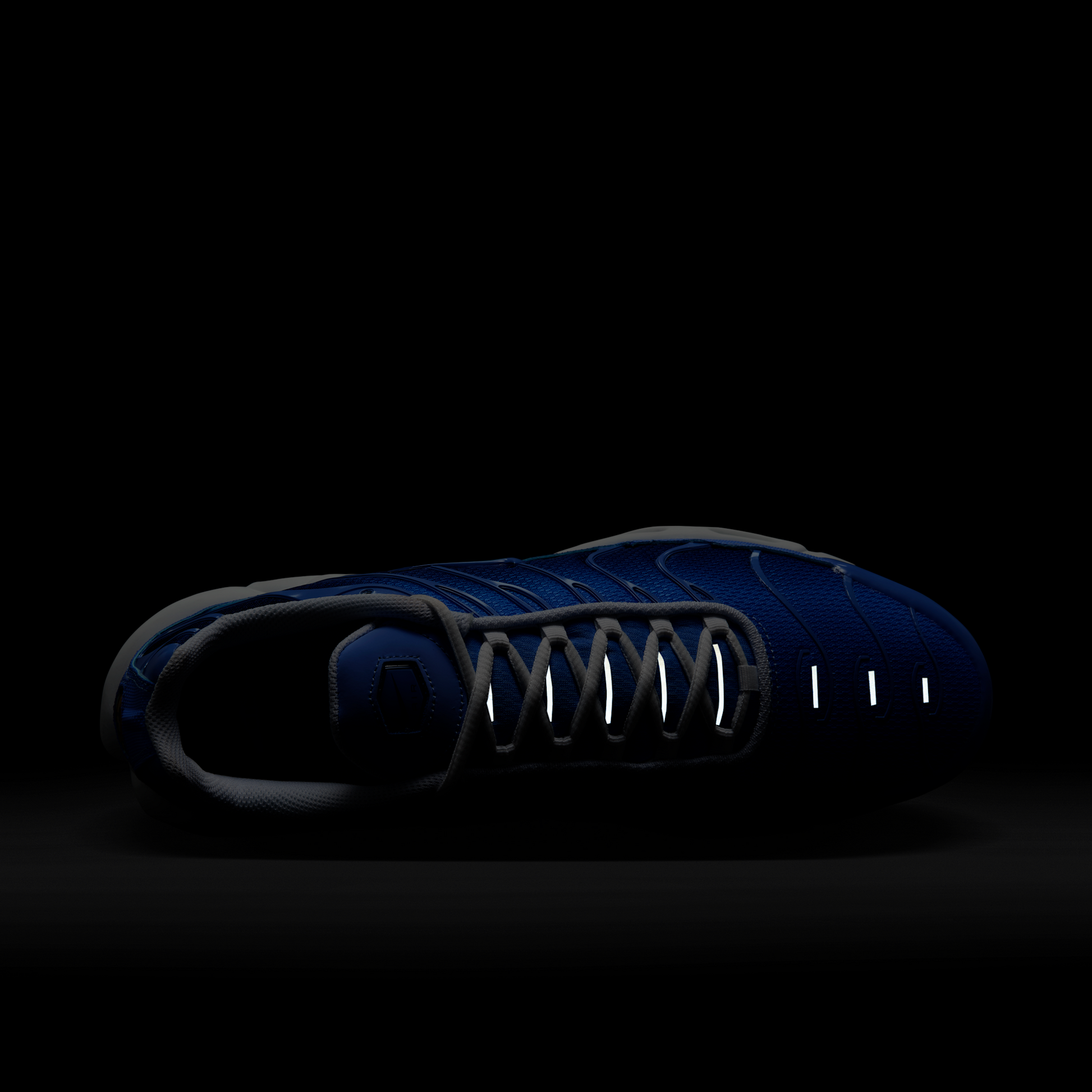 Nike Air Max Plus Royal Pulse