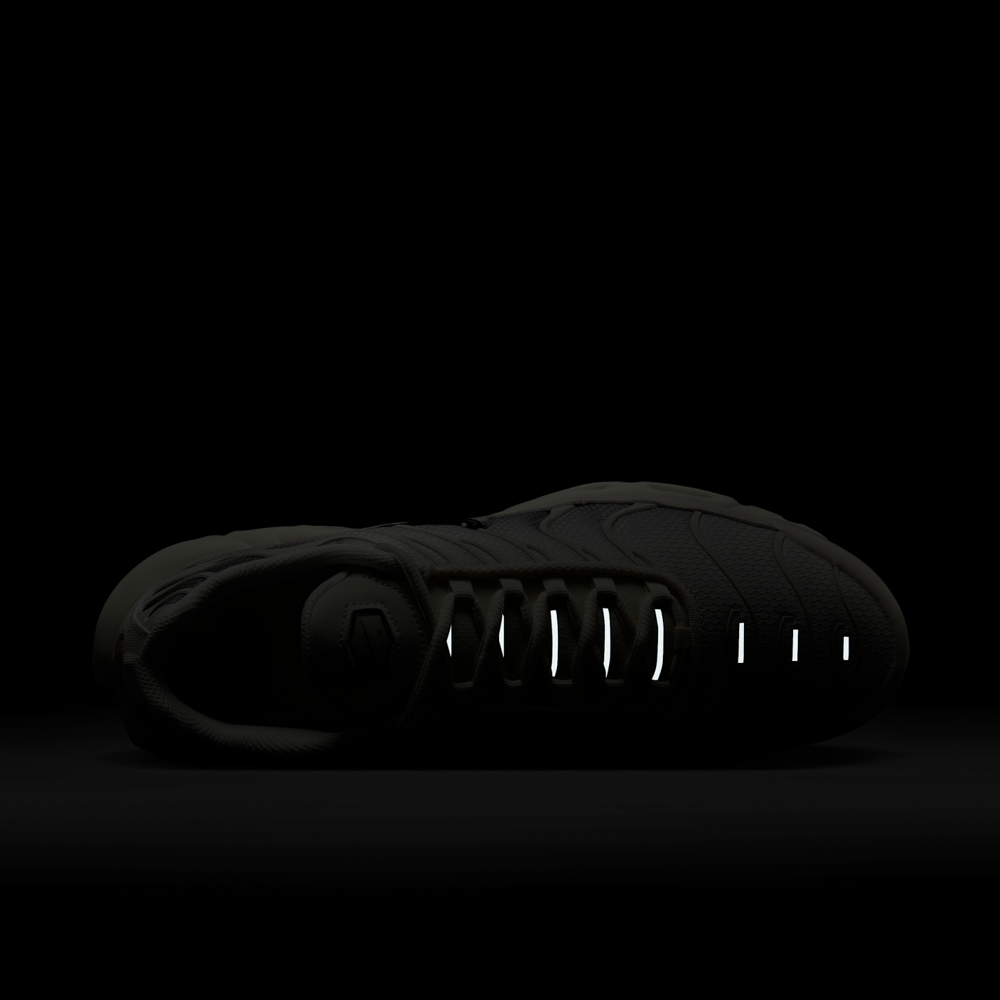Nike Air Max Plus Light Orewood Brown Cave Stone