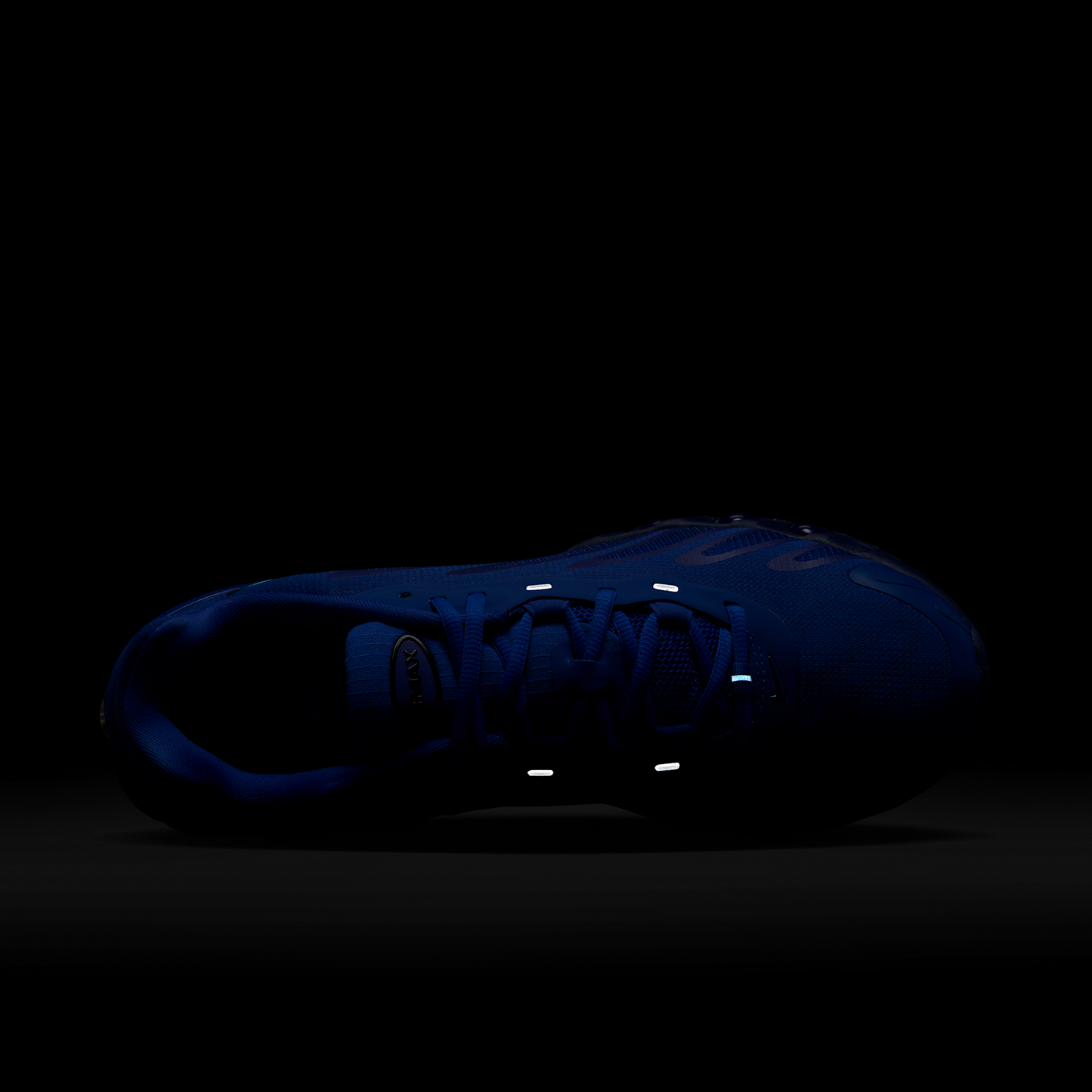 Nike Air Max Dn8 Racer Blue