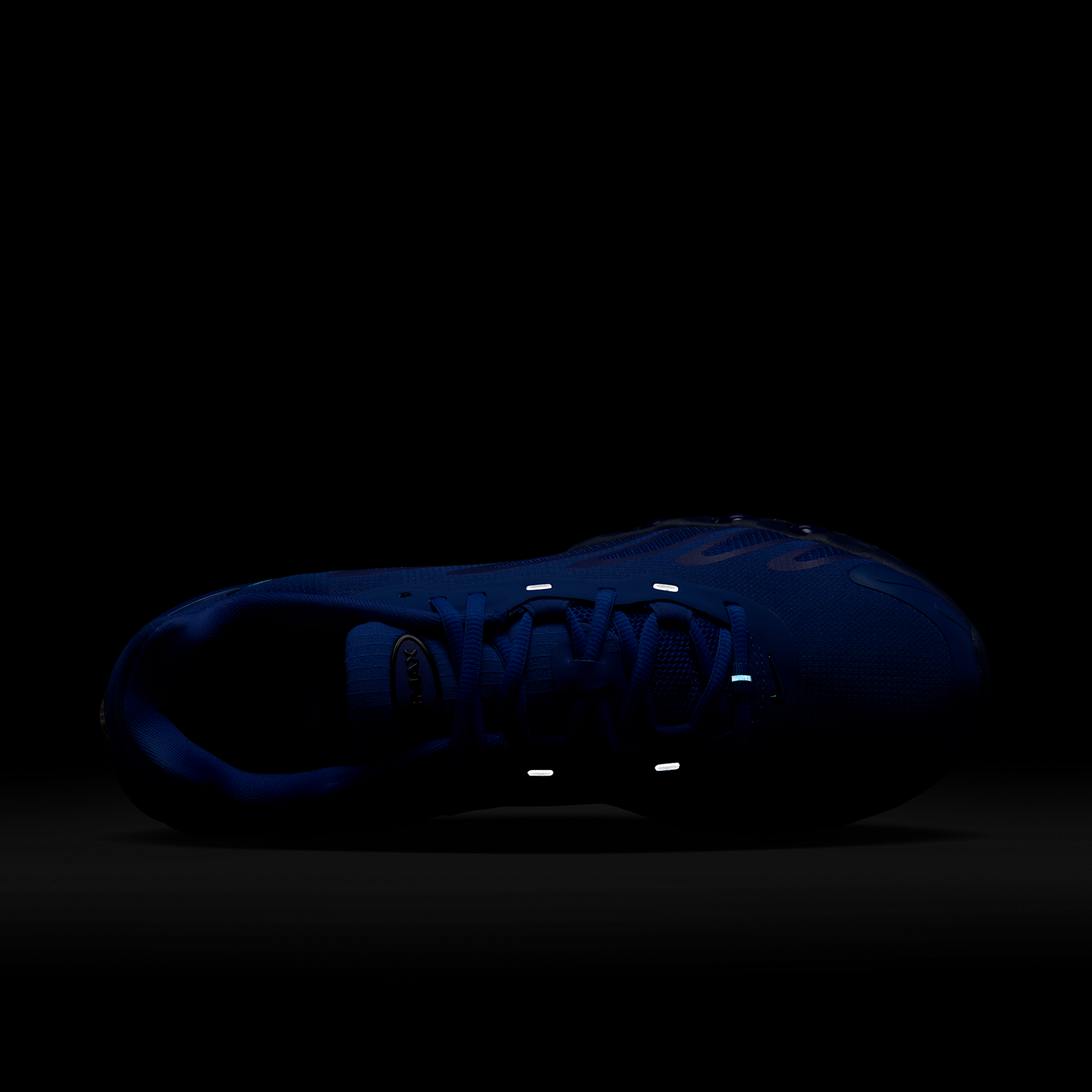 Nike Air Max Dn8 Racer Blue
