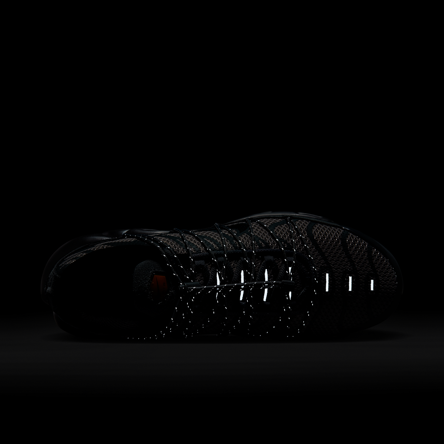 Nike Air Max Plus Toggle Grey Reflective