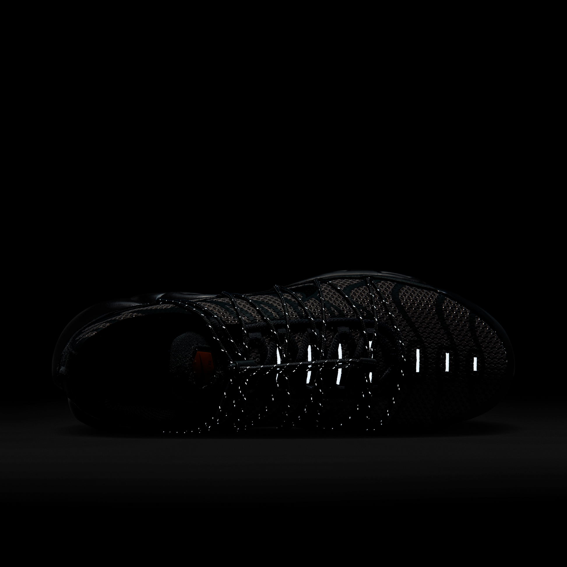 Nike Air Max Plus Toggle Grey Reflective