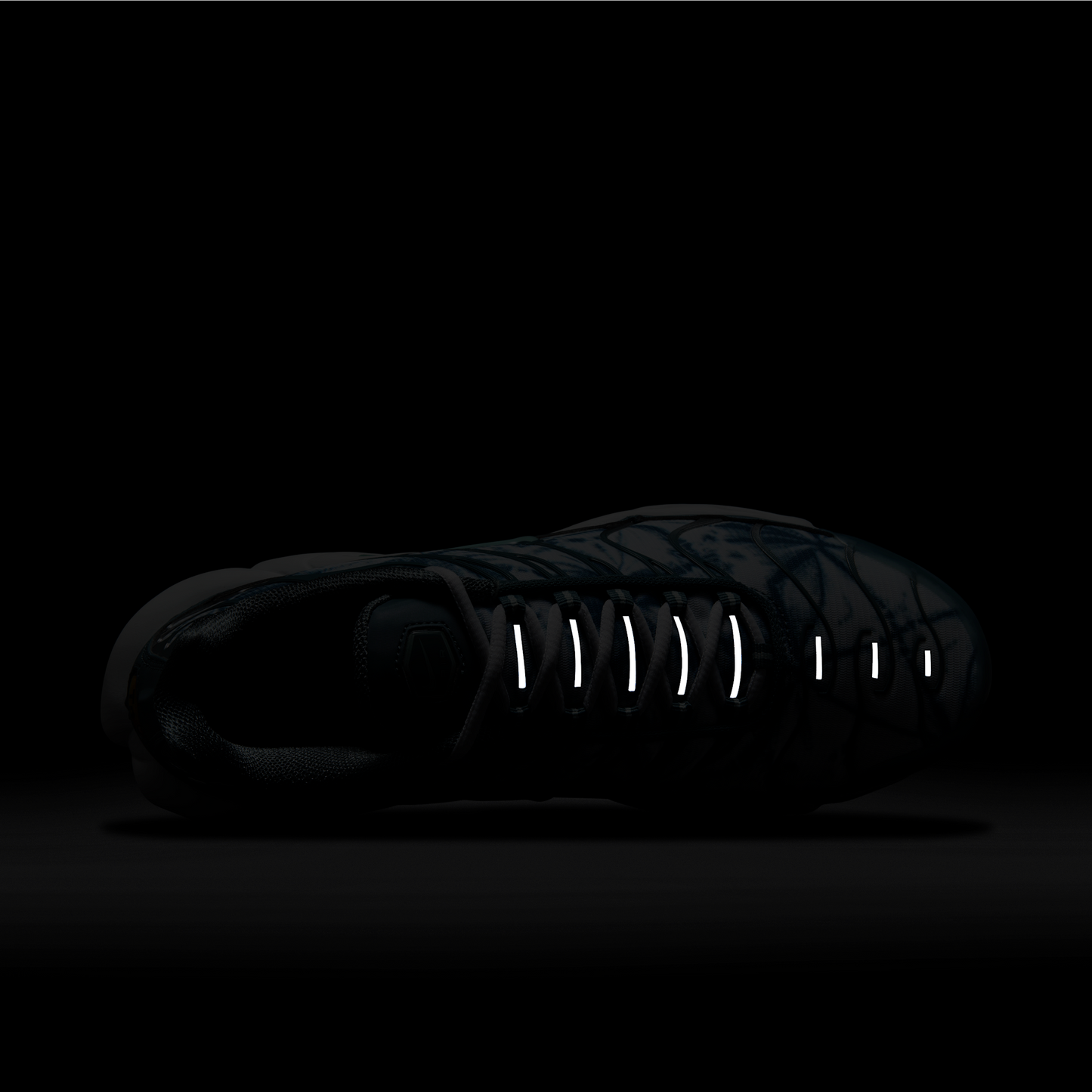 Nike Air Max Plus Origins Waterway