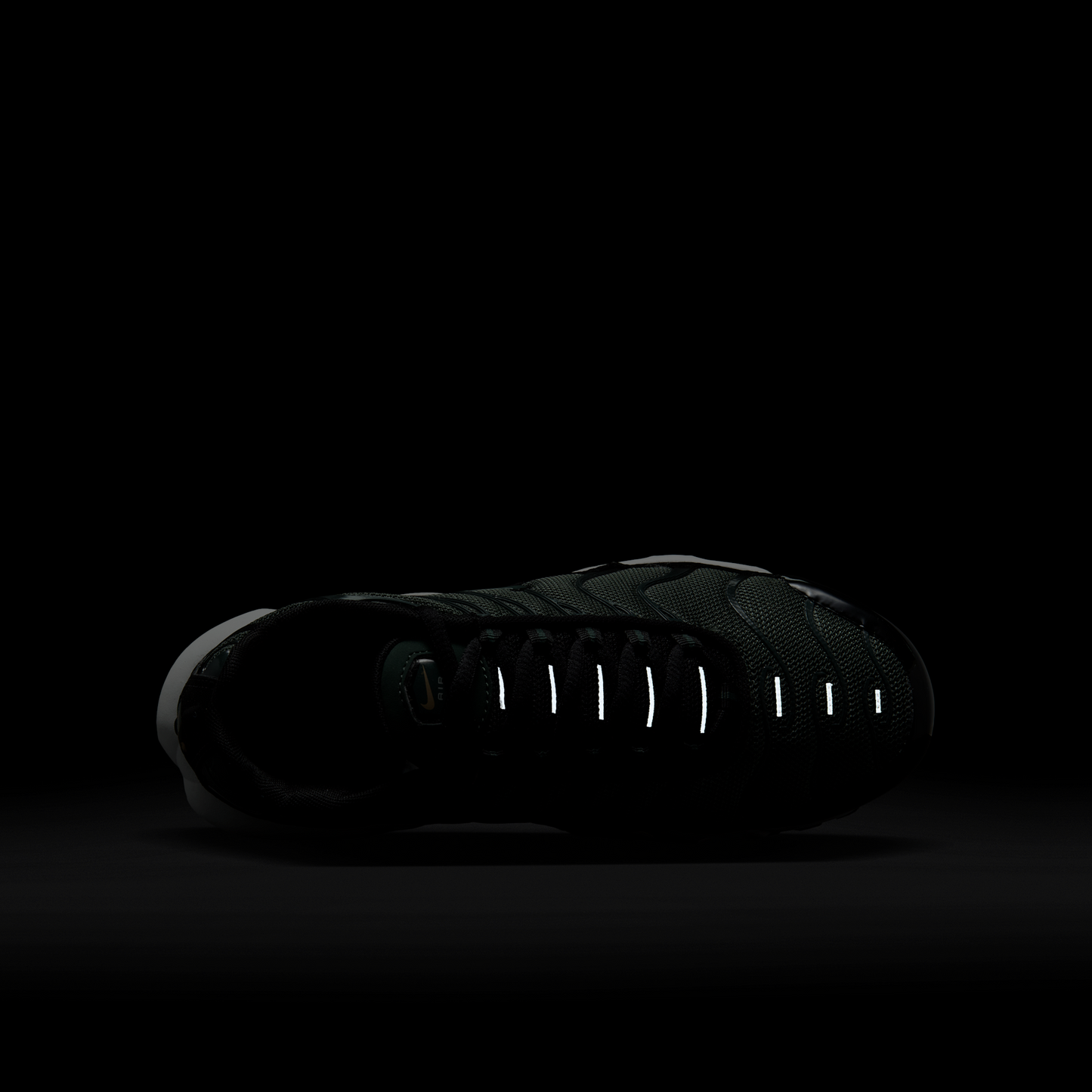 Nike Air Max Plus Vintage Green Black Hemp (GS)