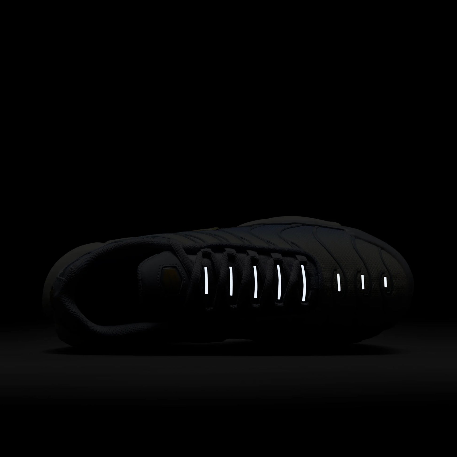 Nike Air Max Plus Daybreak (Women's)
