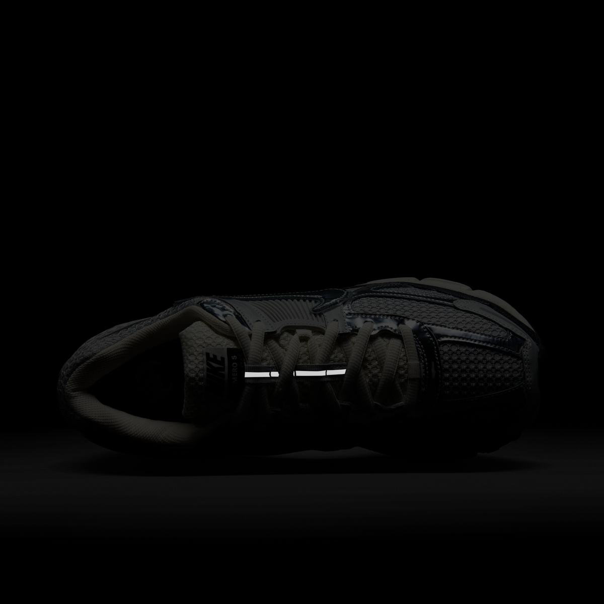 Nike Zoom Vomero 5 Chrome