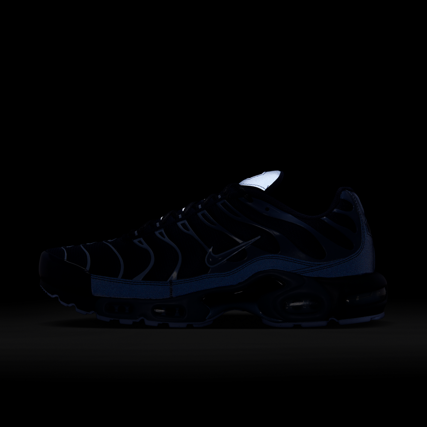 Nike Air Max Plus Obsidian Aluminum