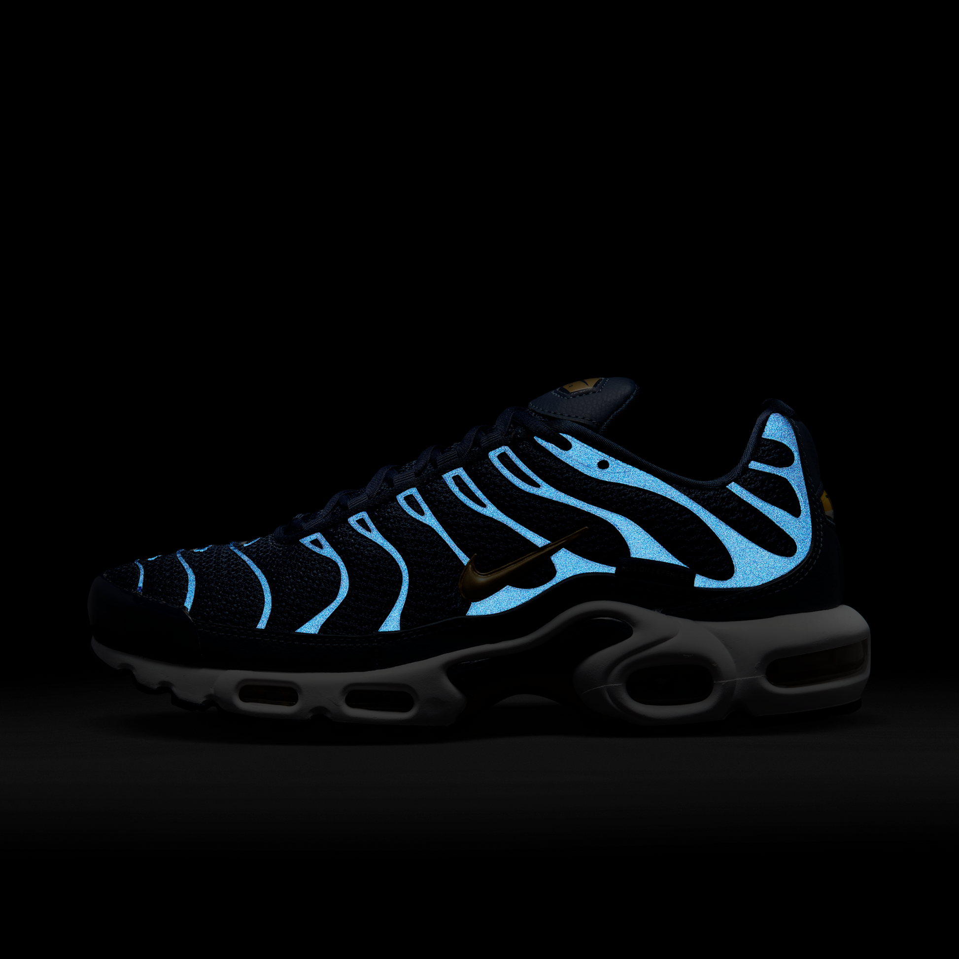 Nike Air Max Plus FFF