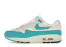 Nike Air Max 1 Dusty Cactus (Women's)