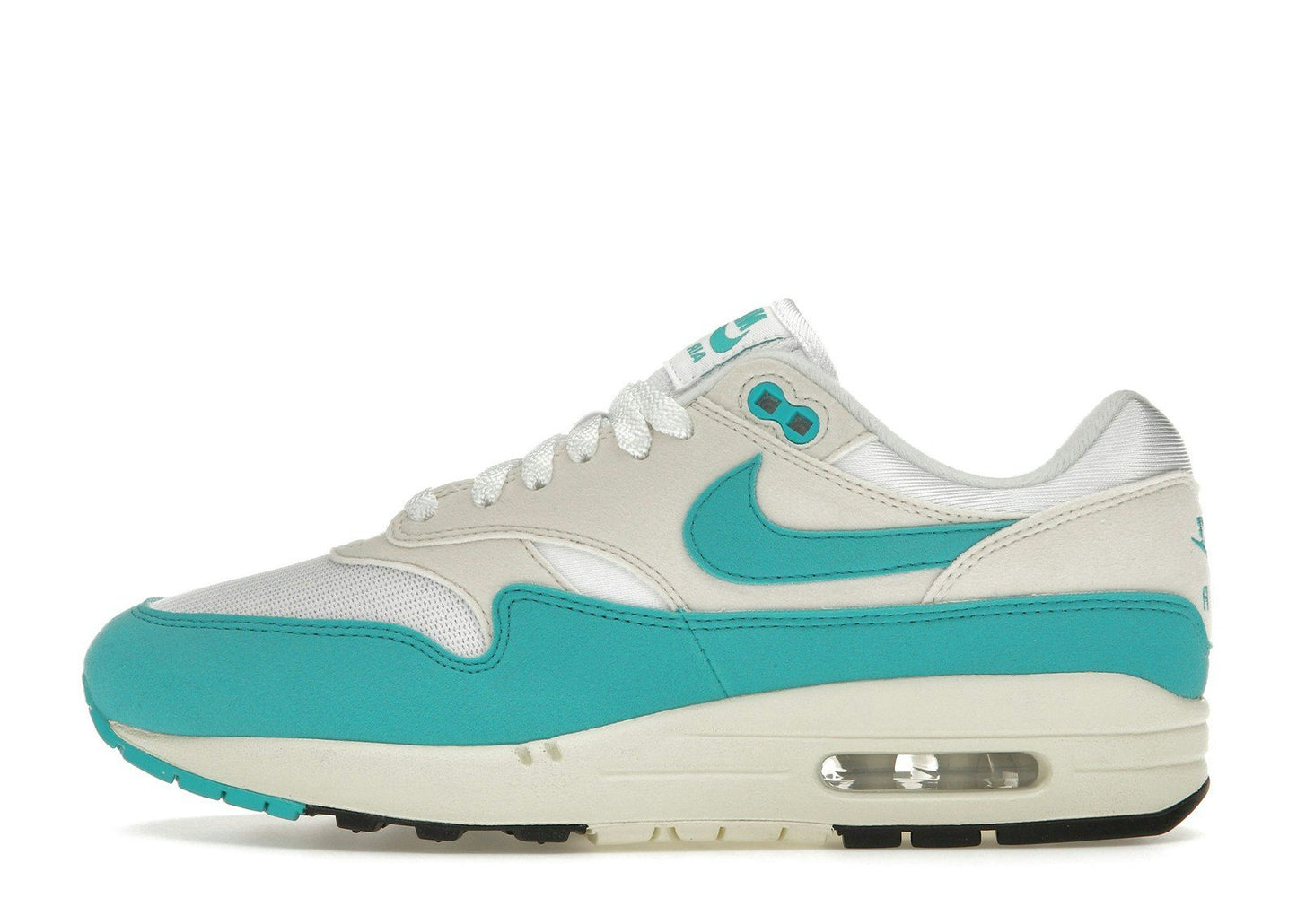 Nike Air Max 1 Dusty Cactus (Women's)