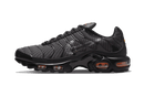 Air Max Plus 3D Swoosh Black