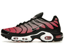Nike Air Max Plus All Day