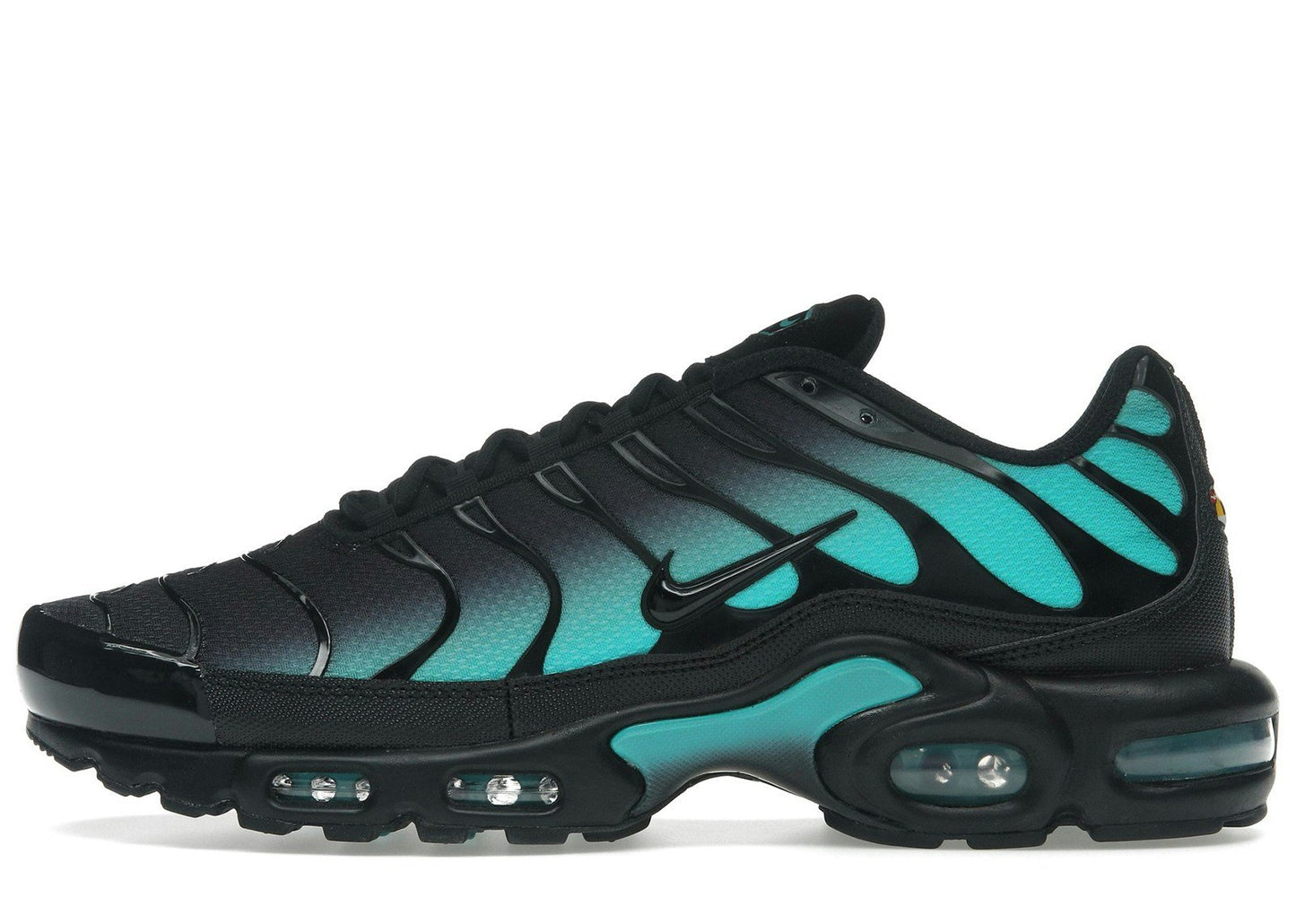 Nike Air Max Plus Black Dusty Cactus