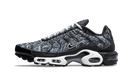 Nike Air Max Plus Dark Smoke Grey