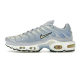 Nike Air Max Plus Daybreak (Women's)