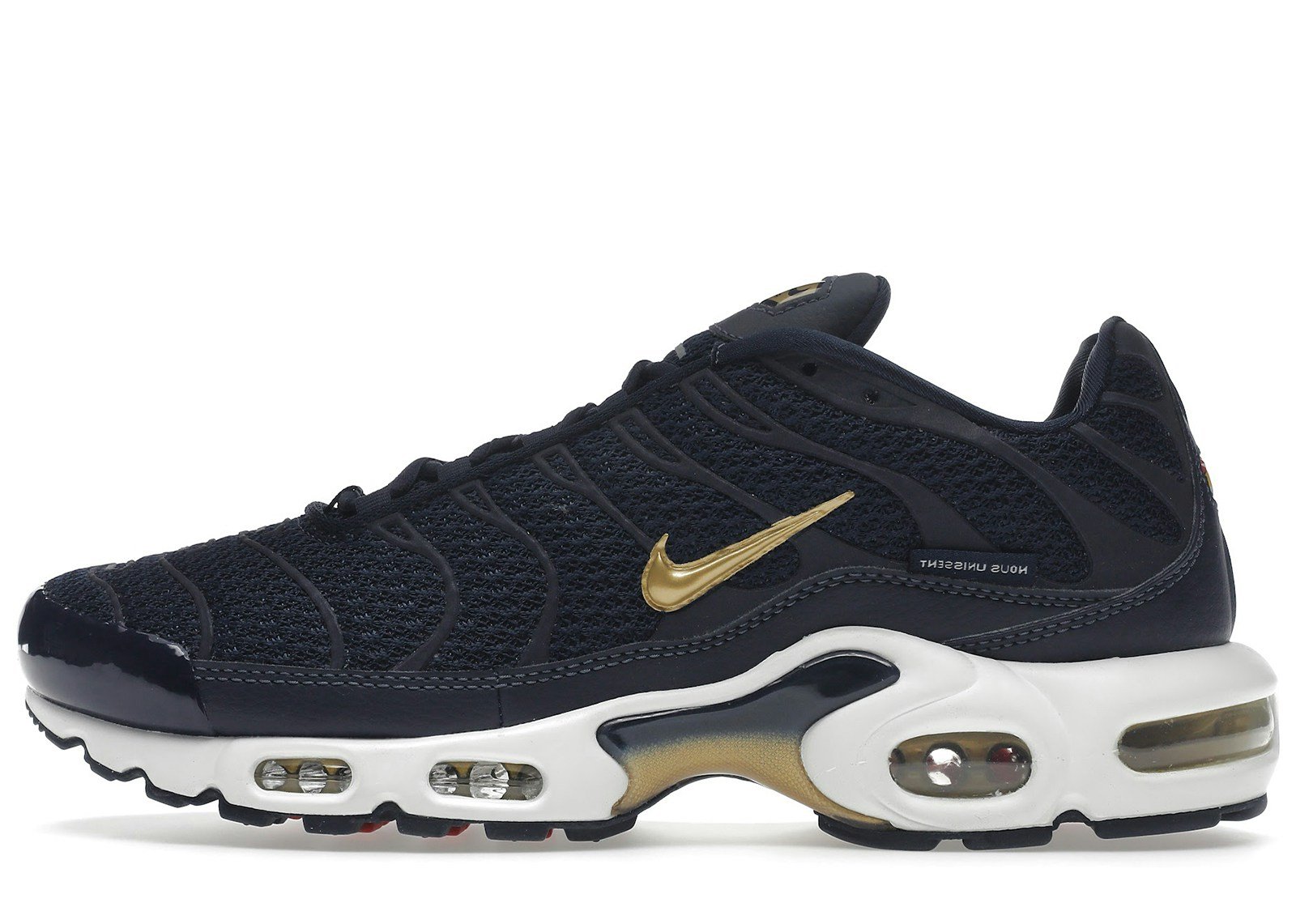 Nike Air Max Plus FFF