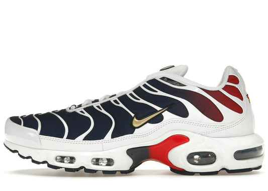Nike Air Max Plus PSG