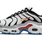 Nike Air Max Plus Platinum Black Red (GS)