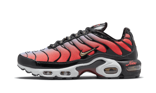 Nike Air Max Plus Sisterhood - DO6115-500