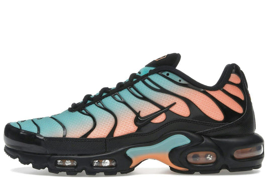 Nike Air Max Plus South Beach