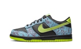 Dunk Low Acid Wash