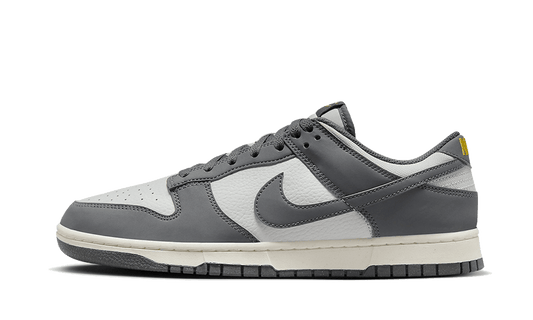 Nike Dunk Low Next Nature Iron Grey Lightning