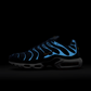 Nike Air Max Plus FFF