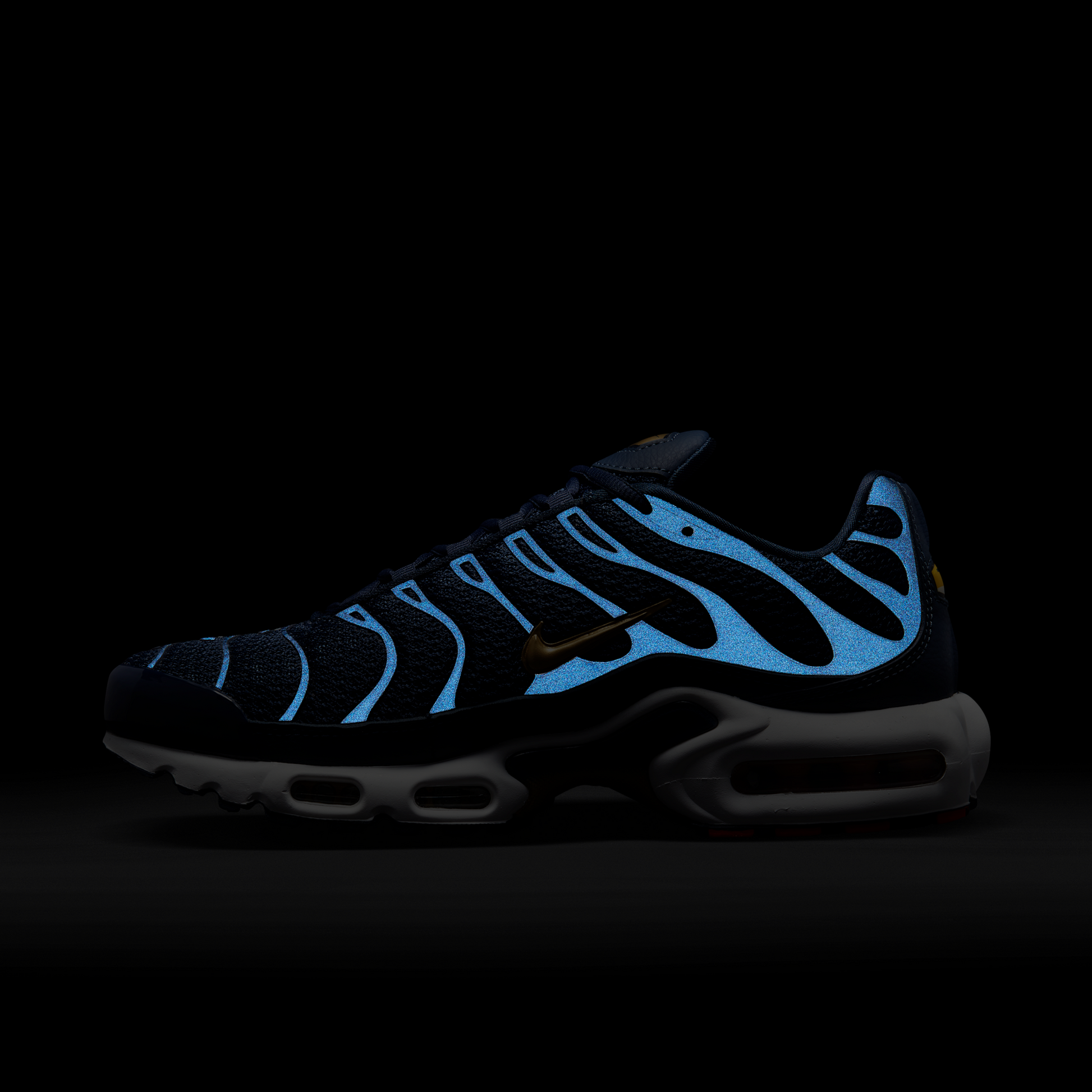 Nike Air Max Plus FFF