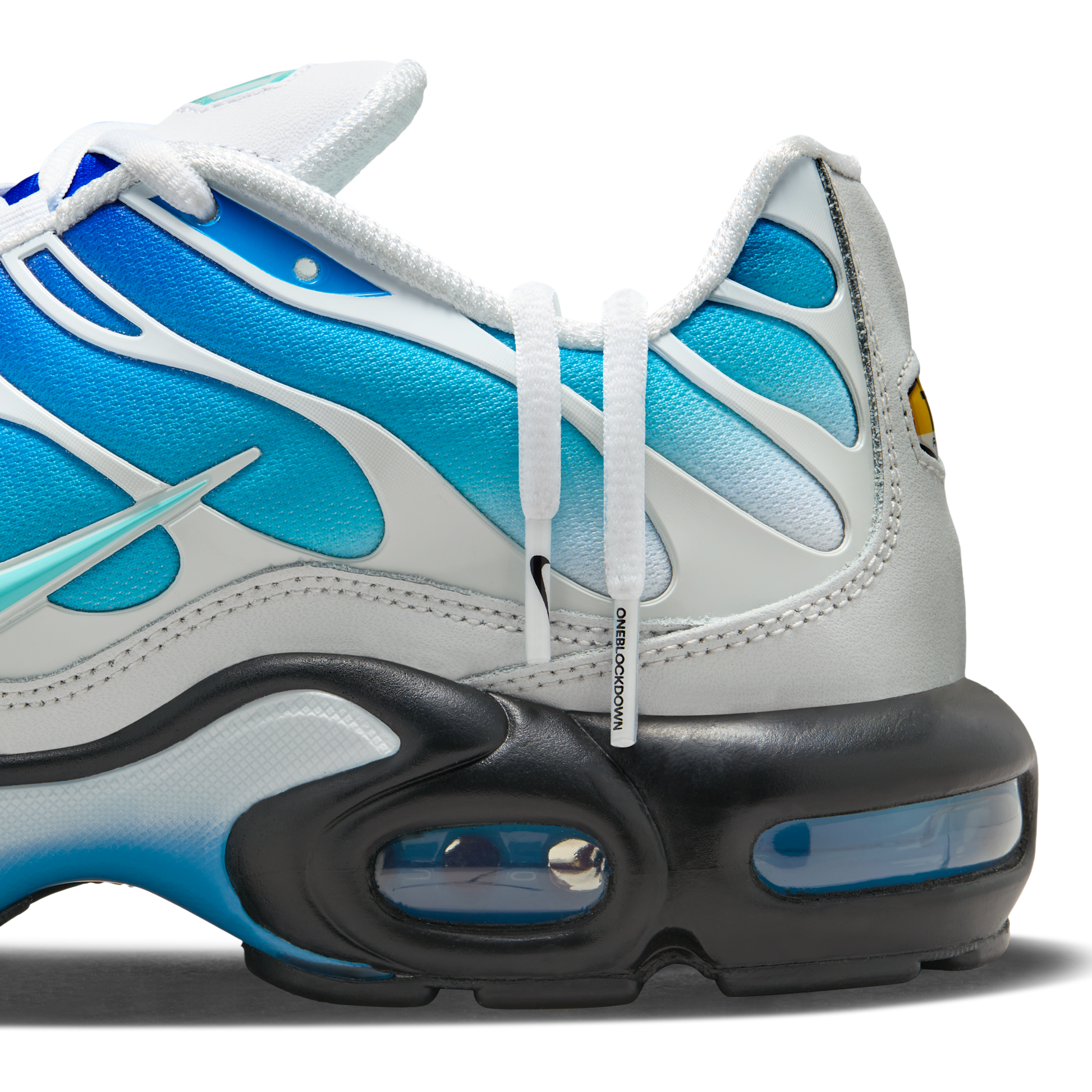 Nike Air Max Plus One Block Down Light Photo Blue