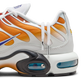Nike Air Max Plus One Block Down Chutney