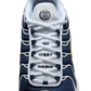 Nike Air Max Plus PSG