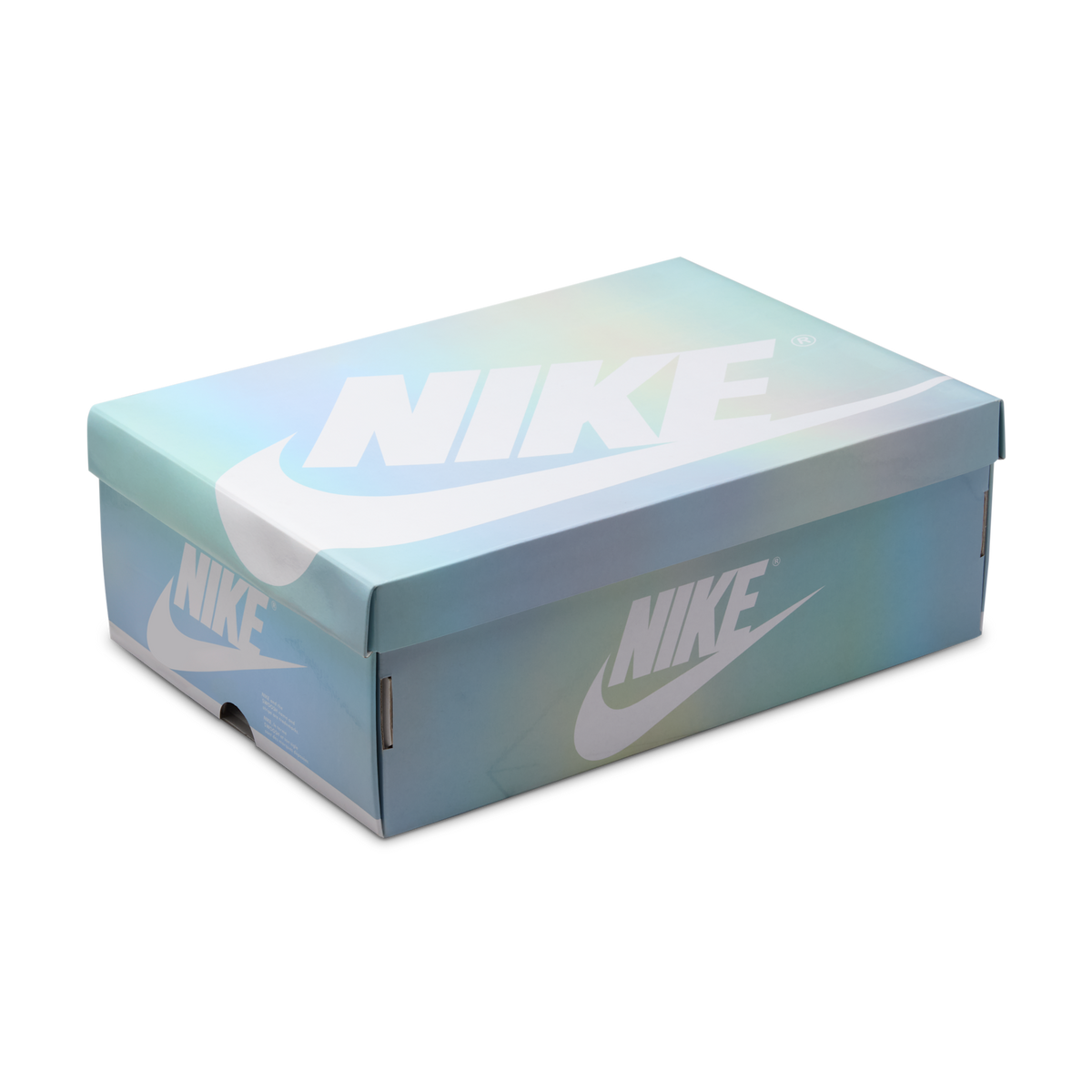 Jordan 1 Retro Low OG Year of the Snake (2025)