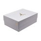 Jordan 4 Retro Net White (Women's)