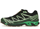 Salomon Advanced XT-6 Gore-Tex Eden Green Ash