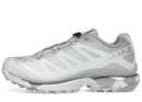 Salomon XT-4 OG Lunar Rock Alloy Silver
