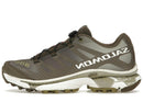 Salomon XT-4 OG Aurora Borealis Canteen