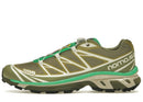 Salomon XT-6 Dried Herb