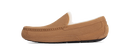 UGG Ascot Slipper Chestnut